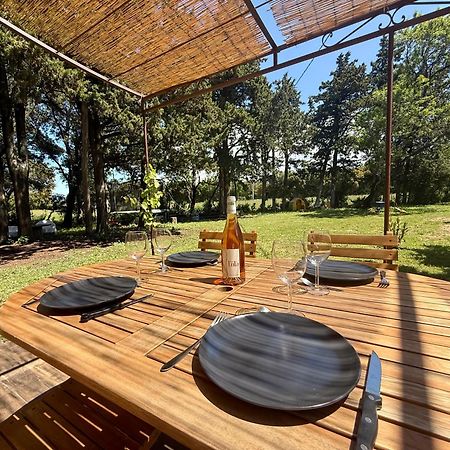 Maisonnette Avec Petite Foret Valréas Exteriér fotografie