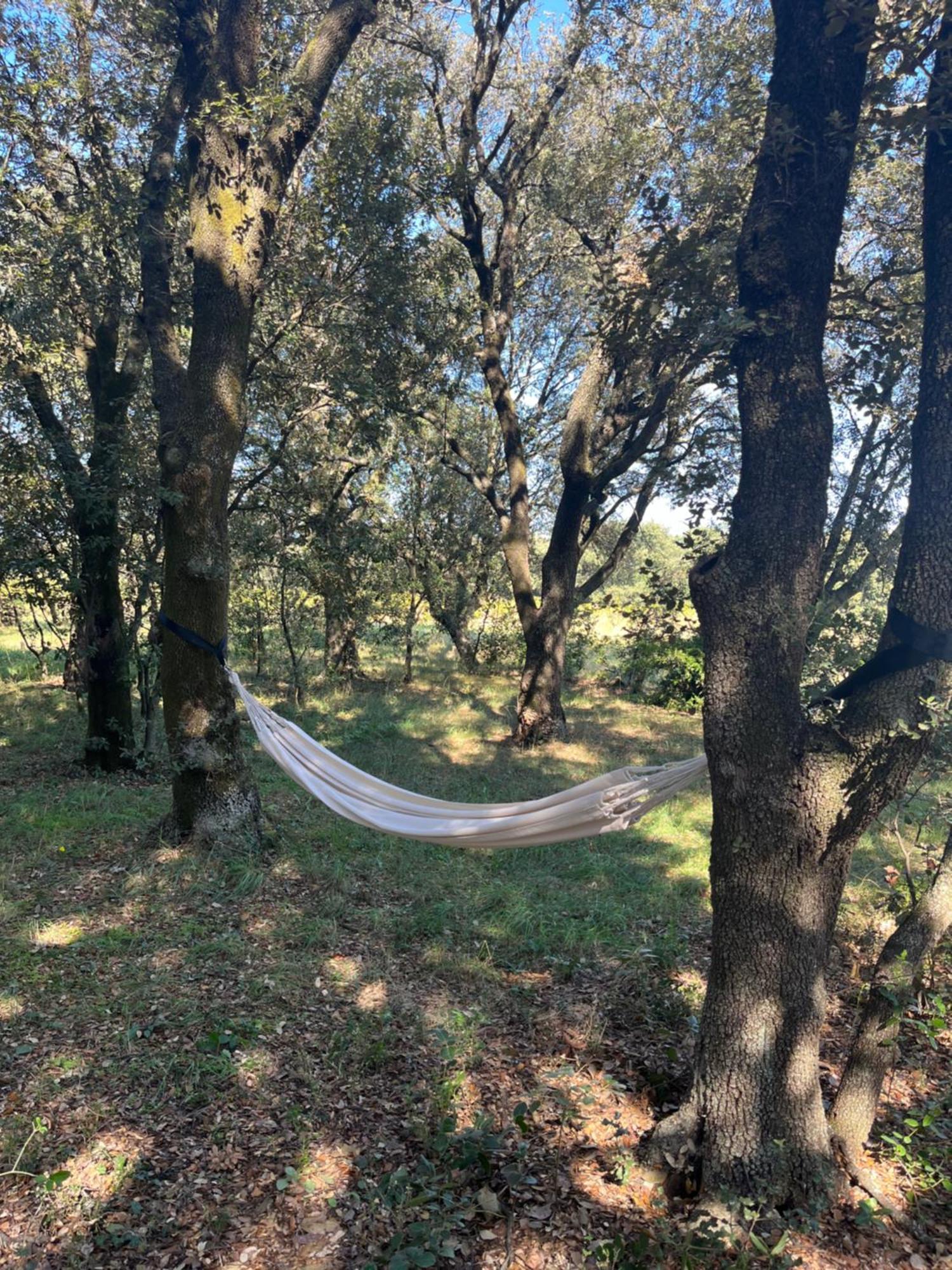 Maisonnette Avec Petite Foret Valréas Exteriér fotografie